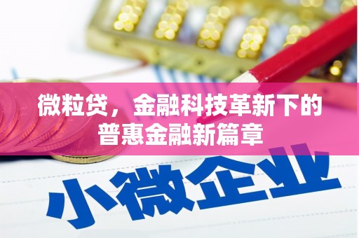 土库微粒贷，金融科技革新下的普惠金融新篇章