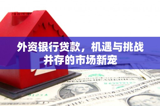 土库外资银行贷款，机遇与挑战并存的市场新宠