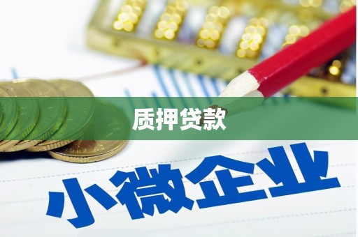 土库质押贷款