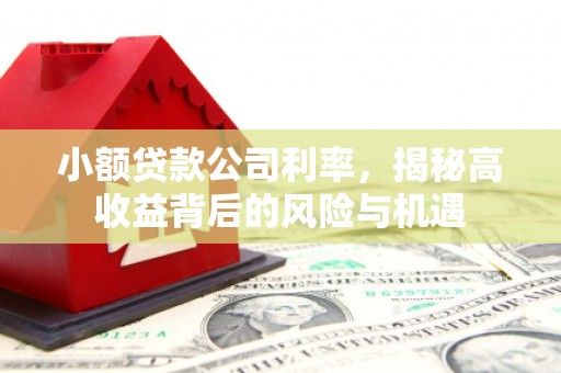 土库小额贷款公司利率，揭秘高收益背后的风险与机遇
