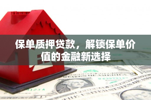 土库保单质押贷款，解锁保单价值的金融新选择