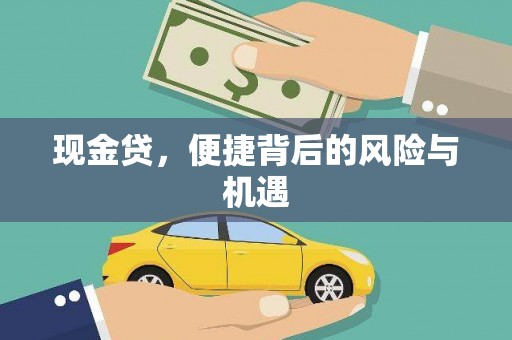 土库现金贷，便捷背后的风险与机遇
