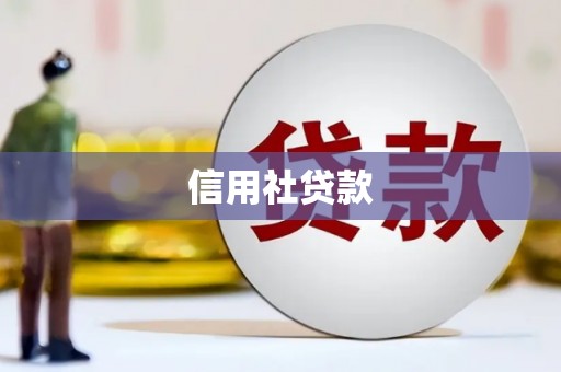 土库信用社贷款