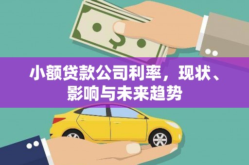 土库小额贷款公司利率，现状、影响与未来趋势