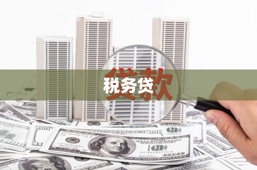土库税务贷
