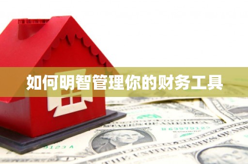 土库如何明智管理你的财务工具