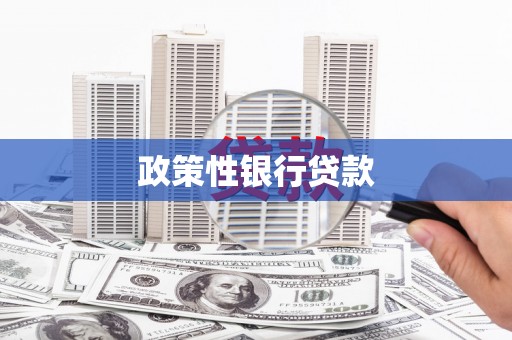 土库政策性银行贷款