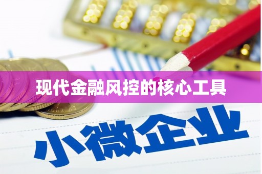 土库现代金融风控的核心工具