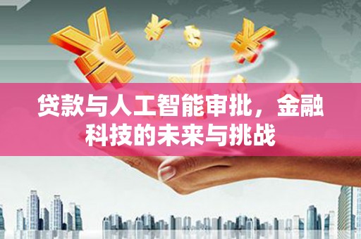 土库贷款与人工智能审批，金融科技的未来与挑战