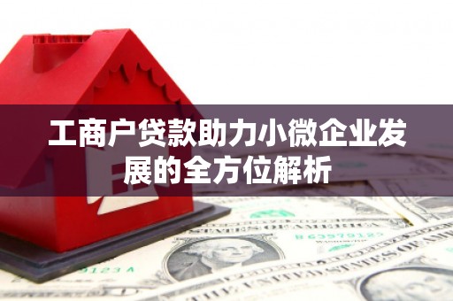 土库工商户贷款助力小微企业发展的全方位解析