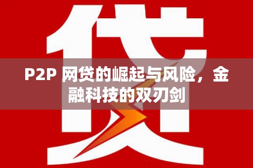 土库P2P 网贷的崛起与风险，金融科技的双刃剑