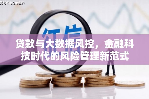 土库贷款与大数据风控，金融科技时代的风险管理新范式