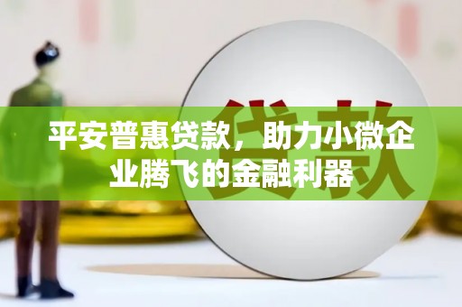 土库平安普惠贷款，助力小微企业腾飞的金融利器