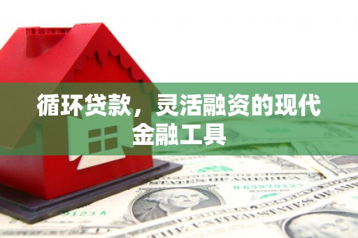 土库循环贷款，灵活融资的现代金融工具