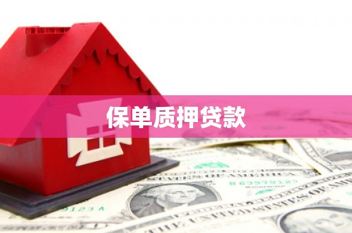 土库保单质押贷款