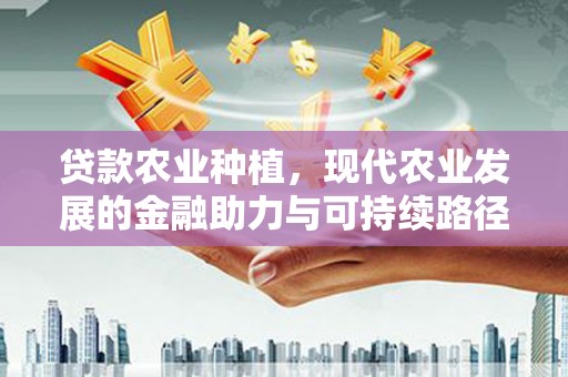 土库贷款农业种植，现代农业发展的金融助力与可持续路径