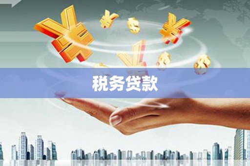 土库税务贷款