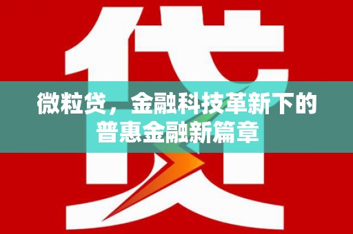 土库微粒贷，金融科技革新下的普惠金融新篇章