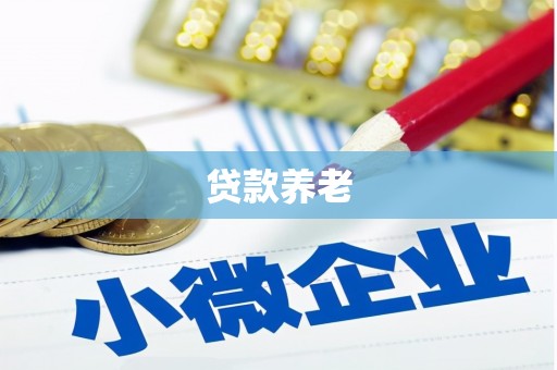 土库贷款养老