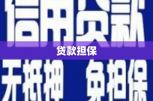 土库贷款担保