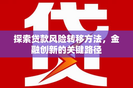 土库探索贷款风险转移方法，金融创新的关键路径