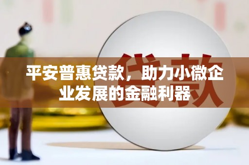 土库平安普惠贷款，助力小微企业发展的金融利器