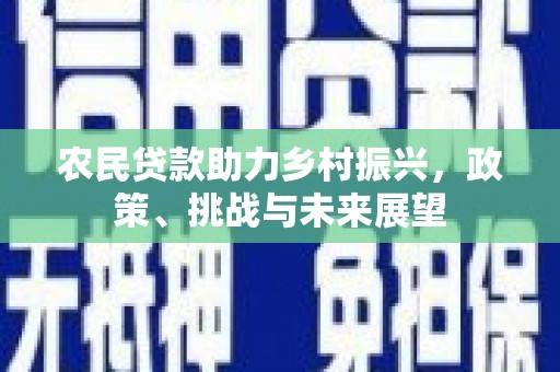 土库农民贷款助力乡村振兴，政策、挑战与未来展望