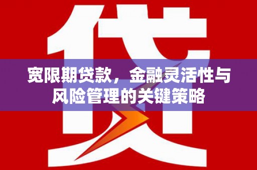 土库宽限期贷款，金融灵活性与风险管理的关键策略