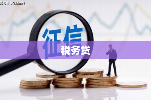 土库税务贷