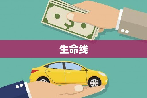 土库生命线