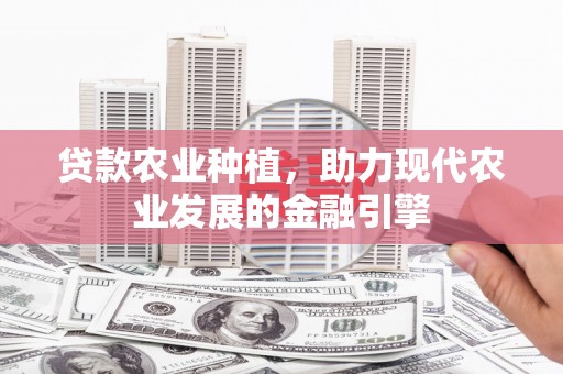 土库贷款农业种植，助力现代农业发展的金融引擎