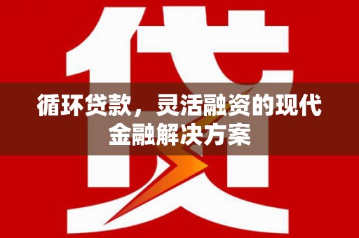 土库循环贷款，灵活融资的现代金融解决方案
