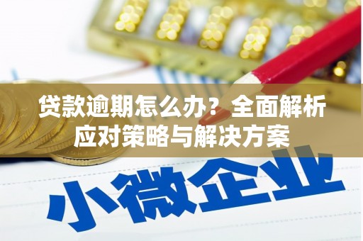 土库贷款逾期怎么办？全面解析应对策略与解决方案