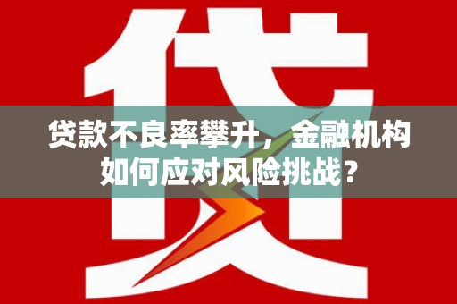 土库贷款不良率攀升，金融机构如何应对风险挑战？
