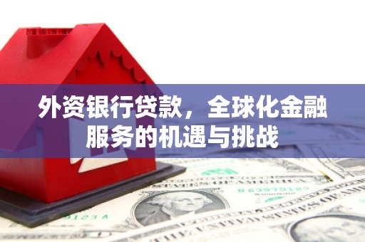 土库外资银行贷款，全球化金融服务的机遇与挑战