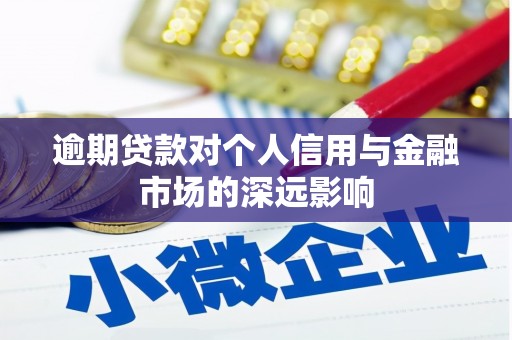 土库逾期贷款对个人信用与金融市场的深远影响