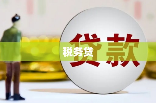 土库税务贷