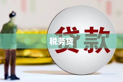 土库税务贷