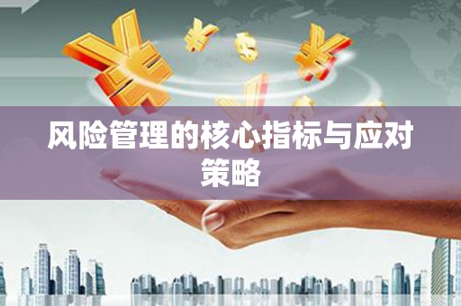 土库风险管理的核心指标与应对策略