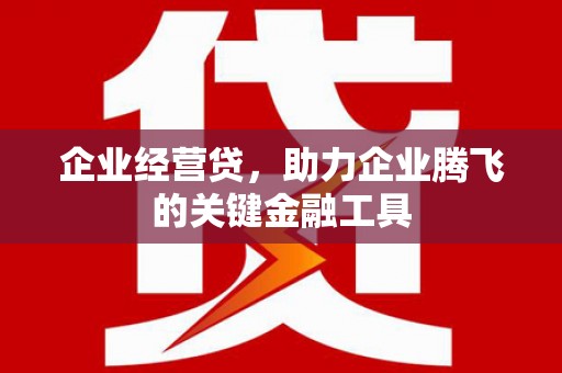 土库企业经营贷，助力企业腾飞的关键金融工具