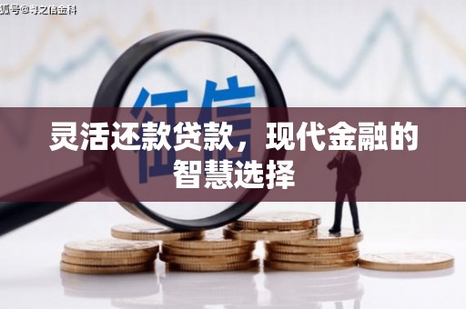 土库灵活还款贷款，现代金融的智慧选择