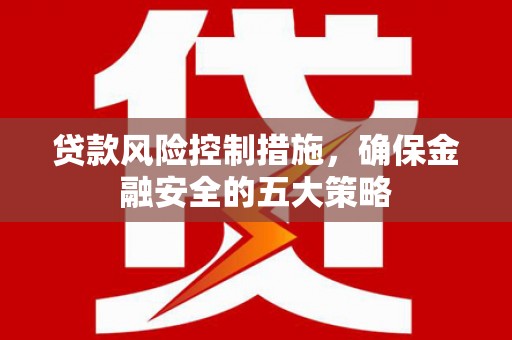 土库贷款风险控制措施，确保金融安全的五大策略