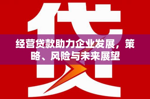 土库经营贷款助力企业发展，策略、风险与未来展望