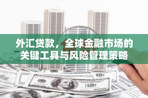 土库外汇贷款，全球金融市场的关键工具与风险管理策略