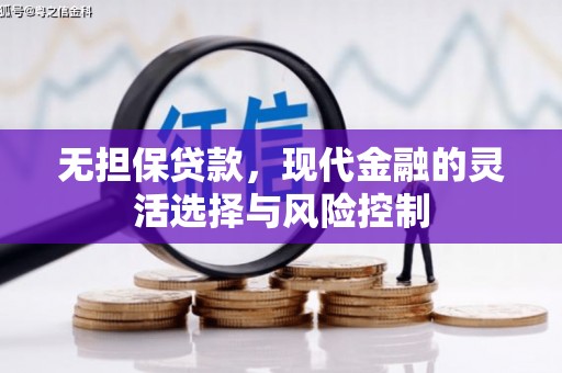土库无担保贷款，现代金融的灵活选择与风险控制