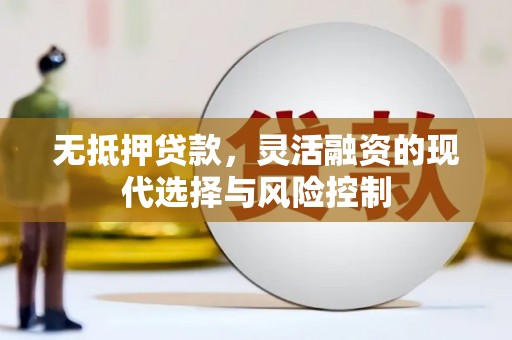 土库无抵押贷款，灵活融资的现代选择与风险控制