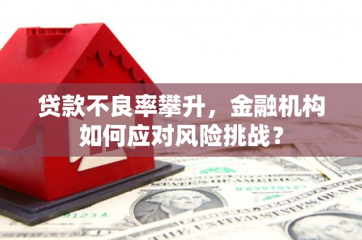 土库贷款不良率攀升，金融机构如何应对风险挑战？