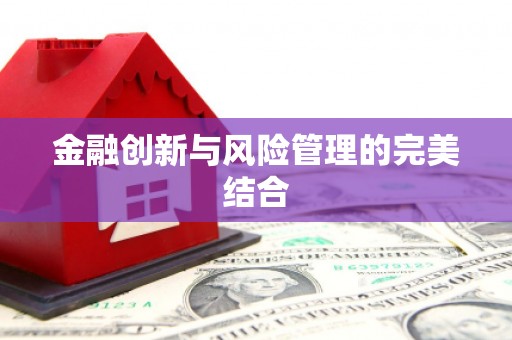 土库金融创新与风险管理的完美结合