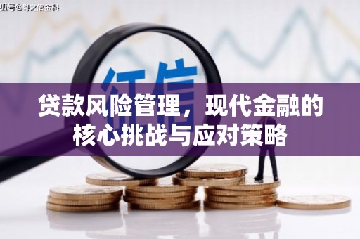 土库贷款风险管理，现代金融的核心挑战与应对策略
