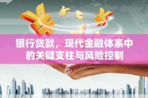 土库银行贷款，现代金融体系中的关键支柱与风险控制